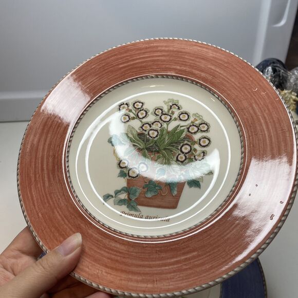 Set of 4 Wedgwood Sarah's Garden Salad Plates - One of Each Color 8 1/4” - Picture 8 of 14